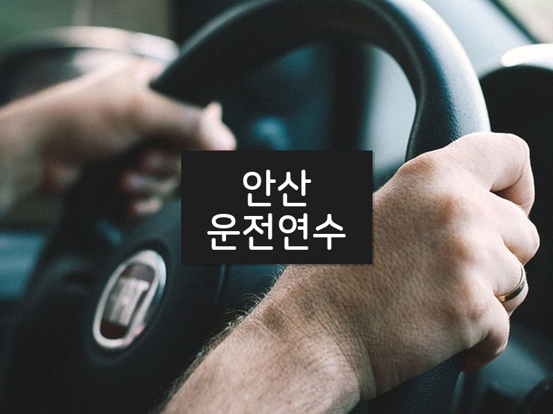 안산운전연수 후기