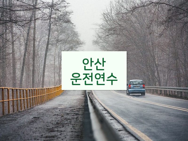 안산운전연수 후기