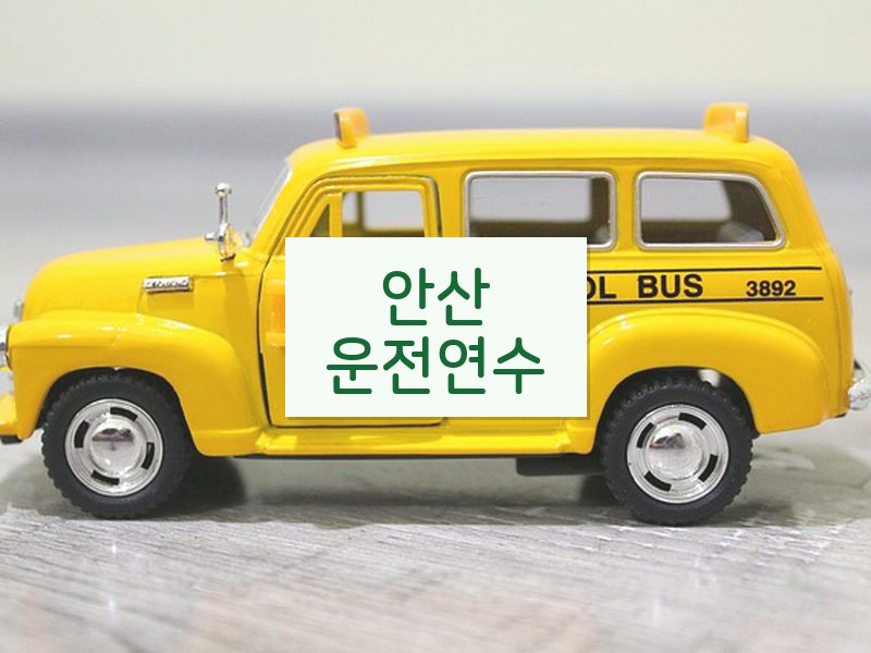 안산운전연수 후기