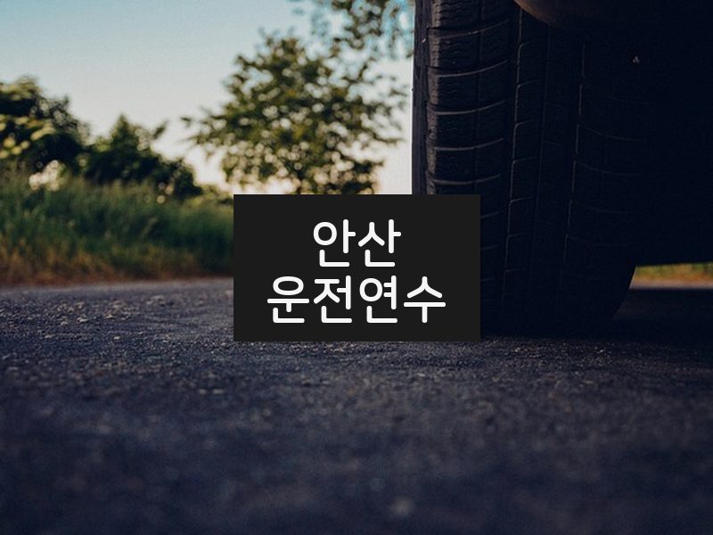 안산운전연수 후기