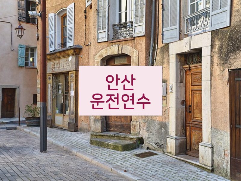 안산운전연수 후기