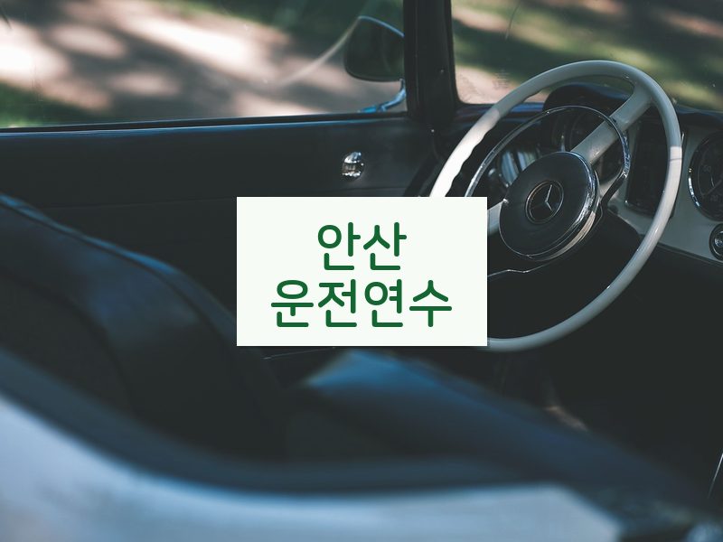 안산운전연수 후기