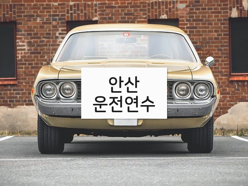 안산운전연수 후기