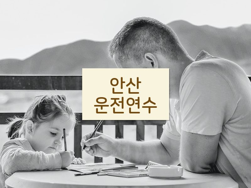 안산운전연수 후기