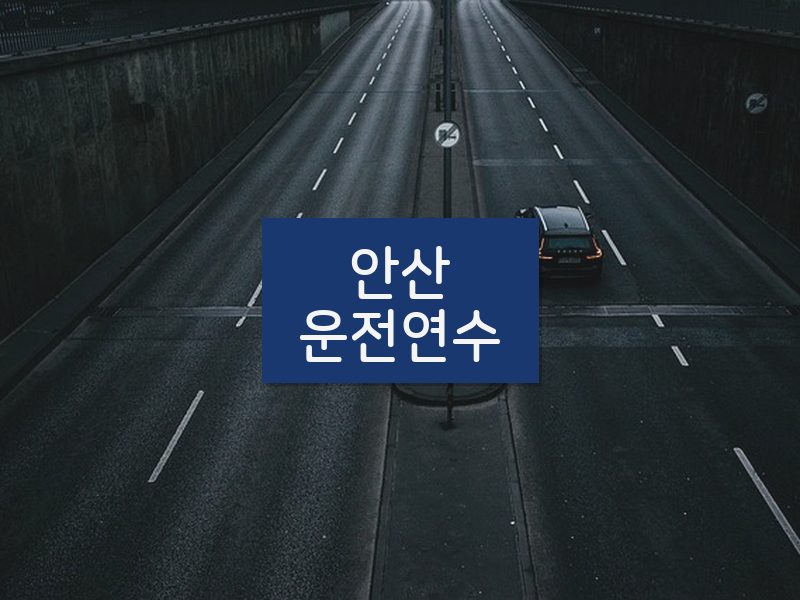 안산운전연수 후기