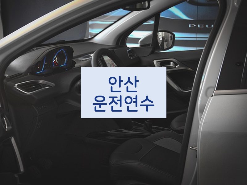 안산운전연수 후기