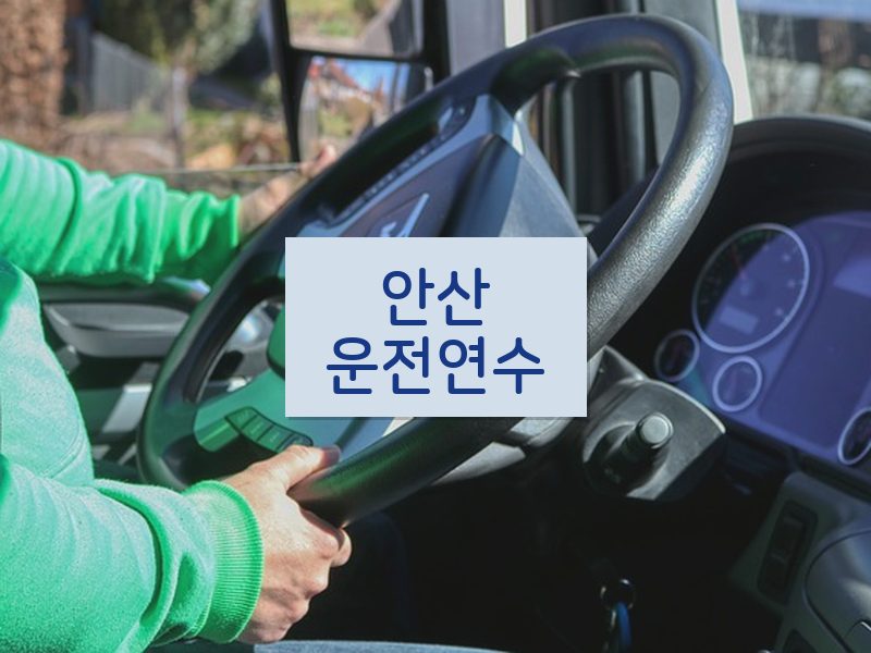 안산운전연수 후기