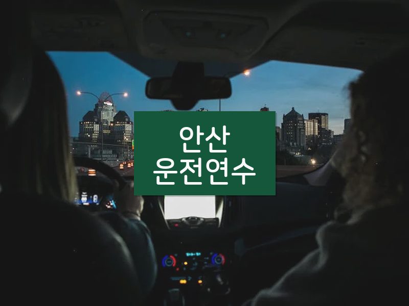 안산운전연수 후기
