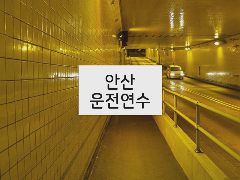 안산운전연수 후기