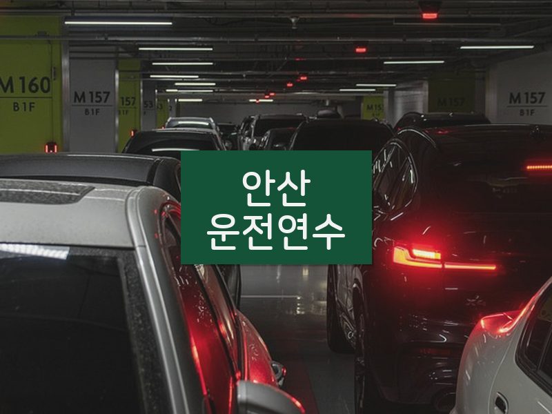 안산운전연수 후기