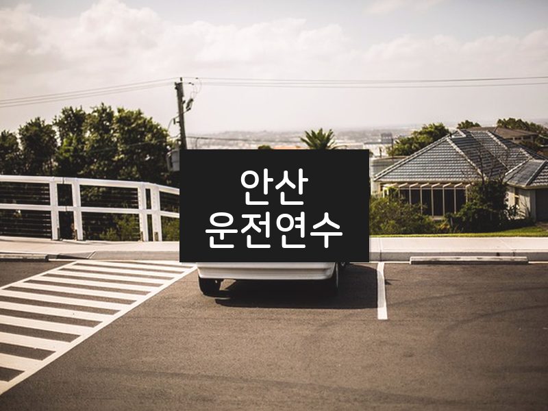 안산운전연수 후기