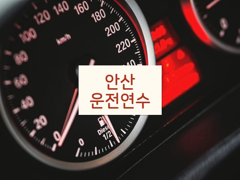 안산운전연수 후기