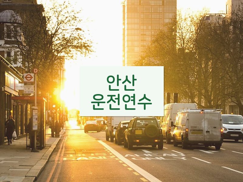 안산운전연수 후기