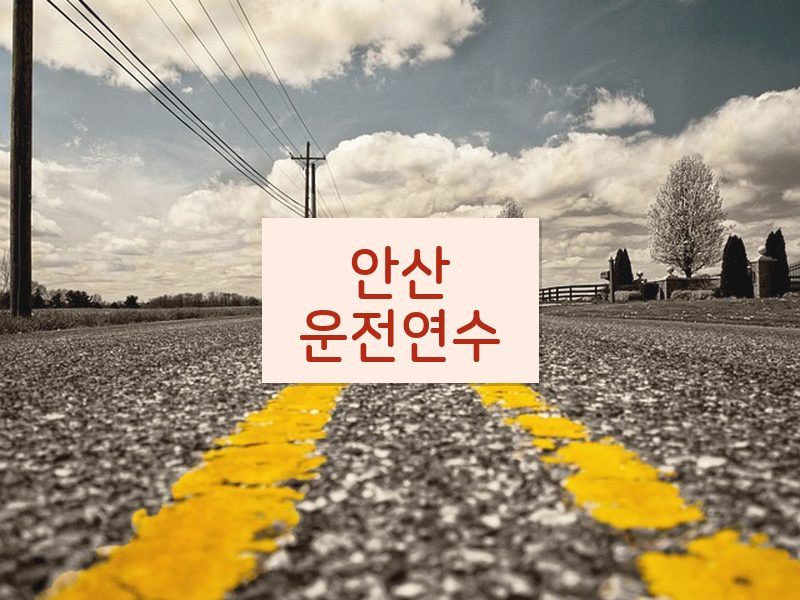 안산운전연수 후기