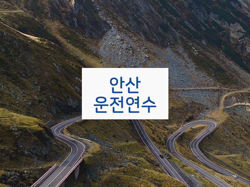 안산운전연수 후기