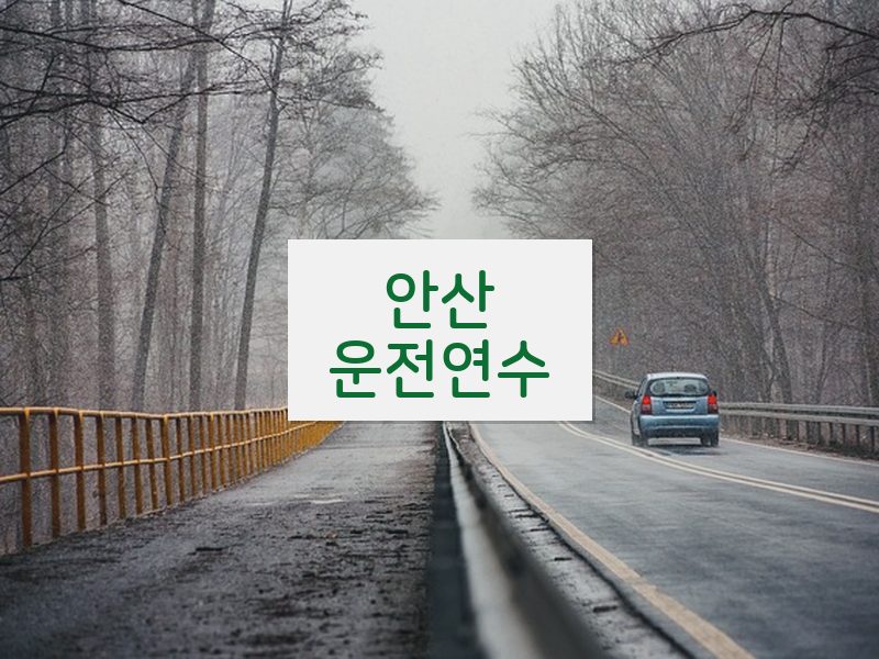 안산운전연수 후기