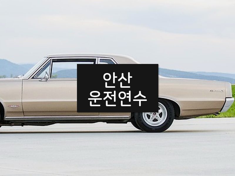 안산운전연수 후기