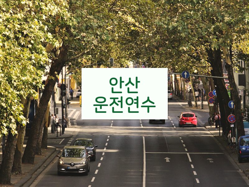 안산운전연수 후기