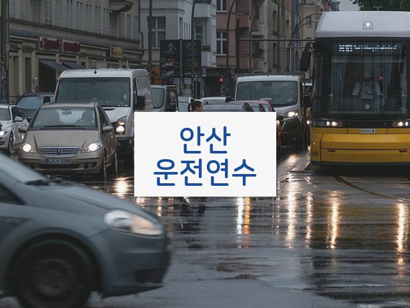 안산운전연수 후기