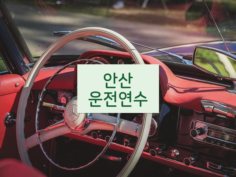 안산운전연수 후기