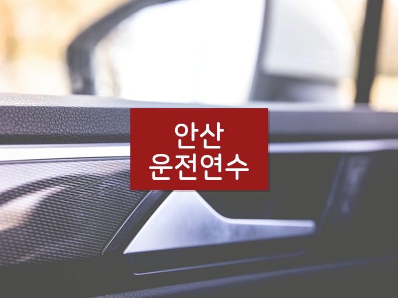 안산운전연수 후기
