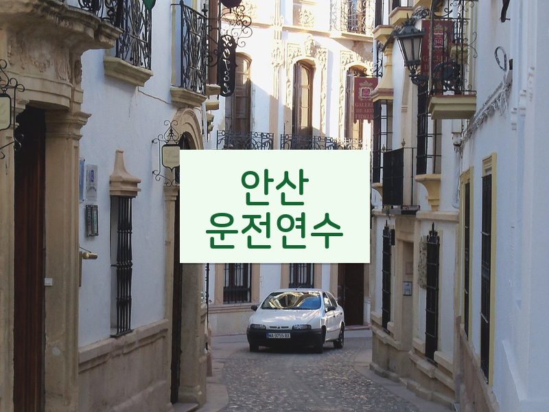 안산운전연수 후기