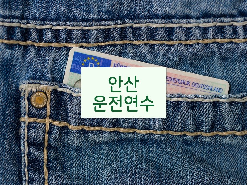 안산운전연수 후기