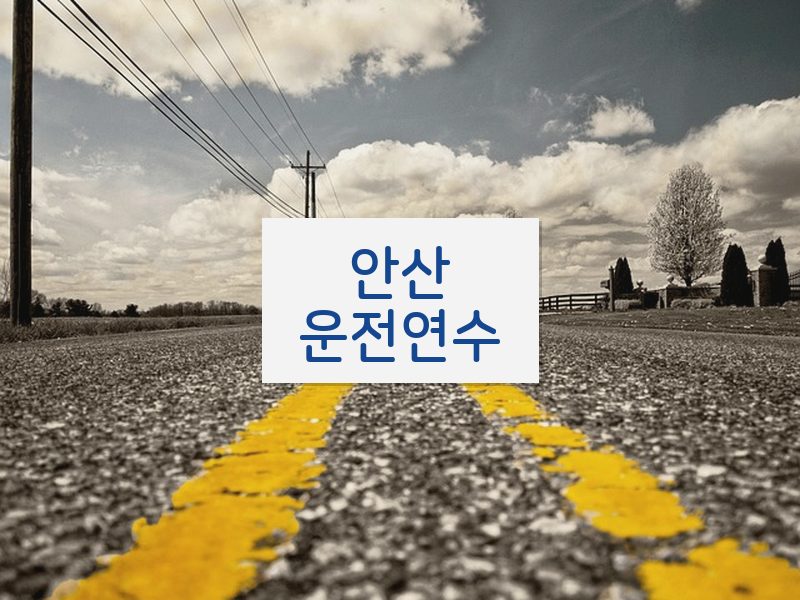 안산운전연수 후기