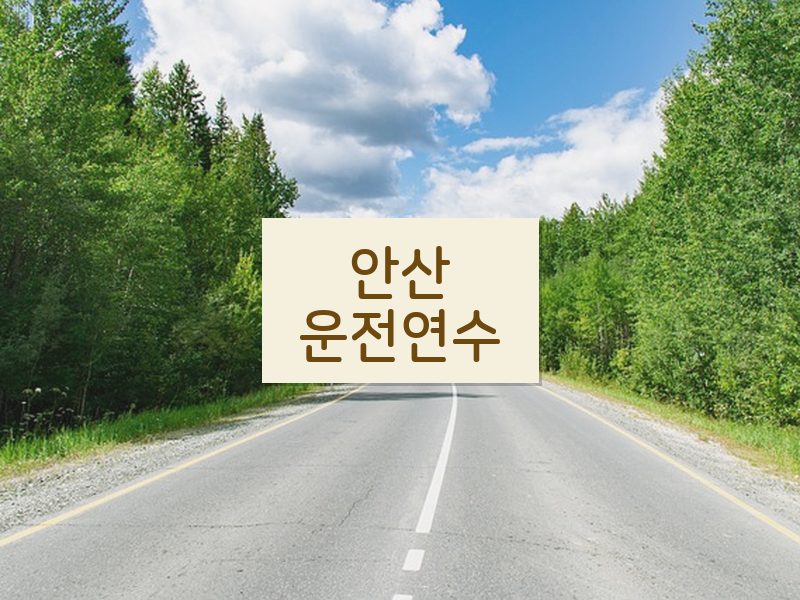 안산운전연수 후기