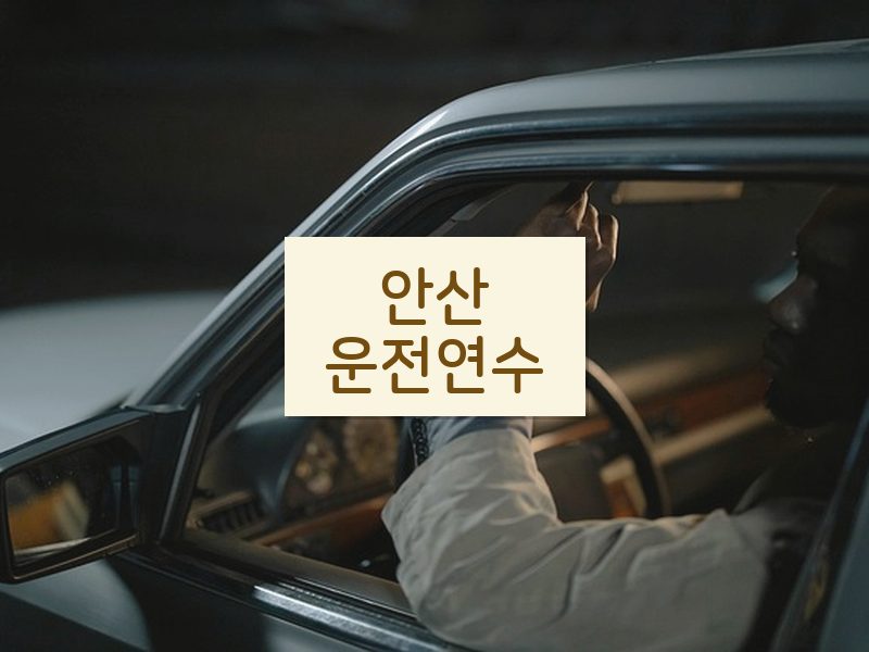 안산운전연수 후기