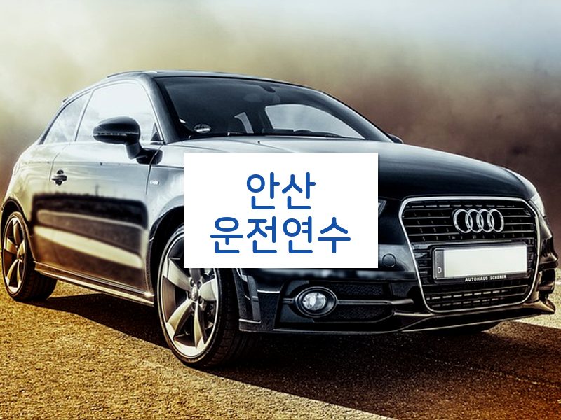 안산운전연수 후기
