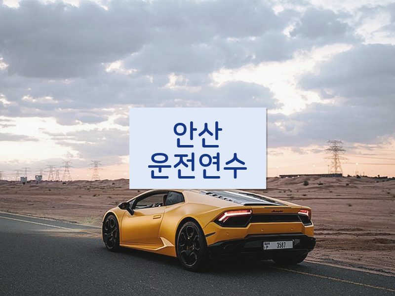 안산운전연수 후기