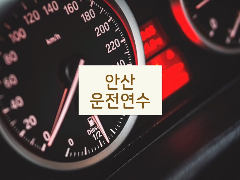 안산운전연수 후기