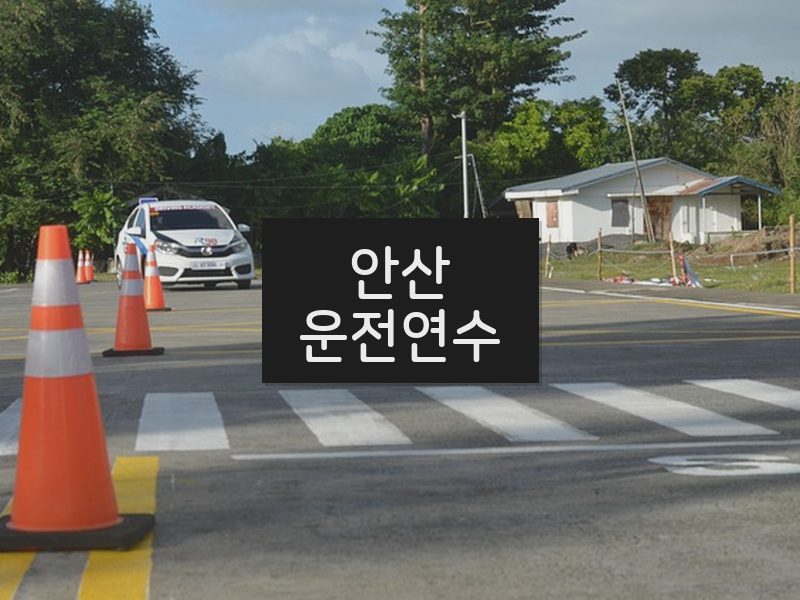 안산운전연수 후기