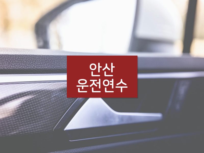 안산운전연수 후기