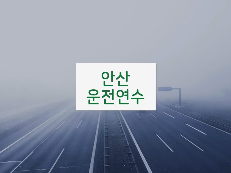 안산운전연수 후기