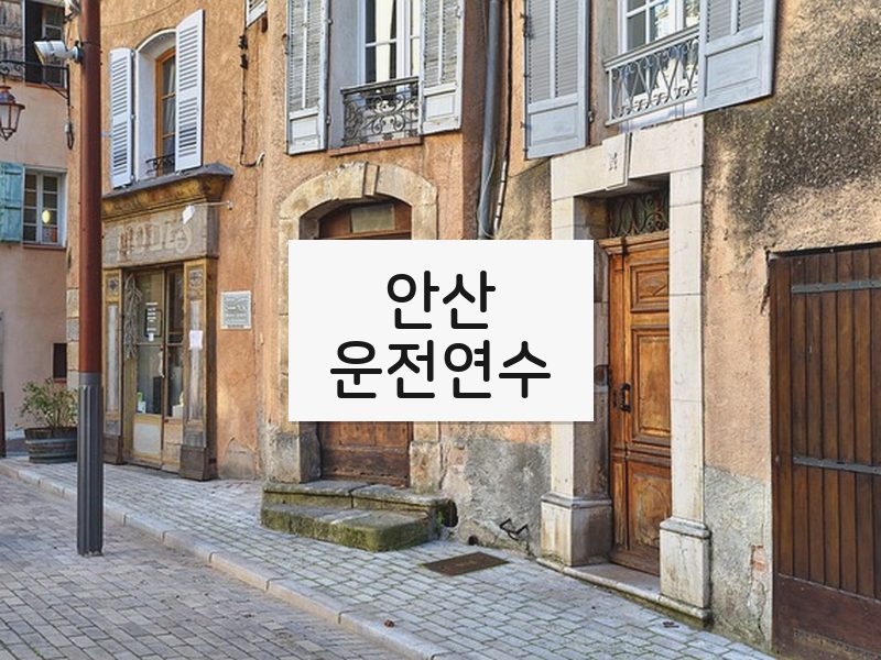 안산운전연수 후기