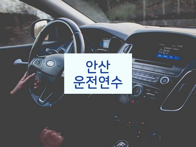 안산운전연수 후기
