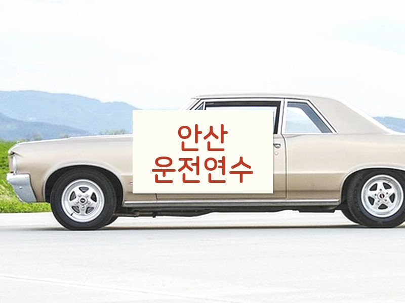 안산운전연수 후기