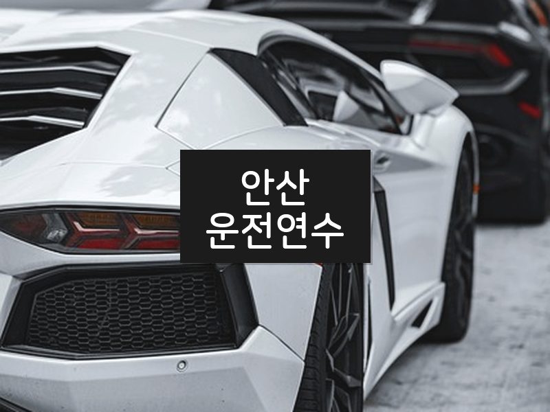 안산운전연수 후기