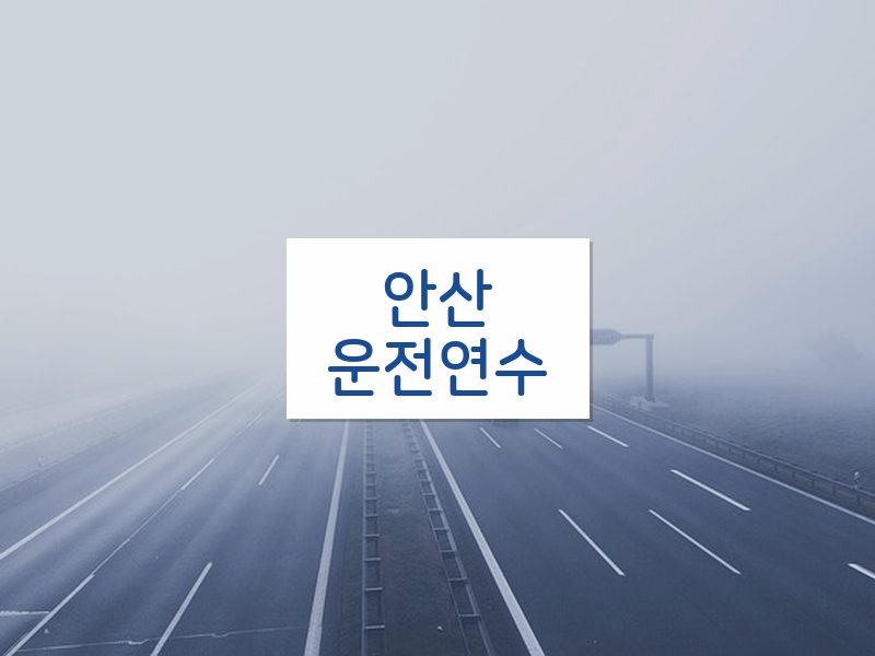안산운전연수 후기