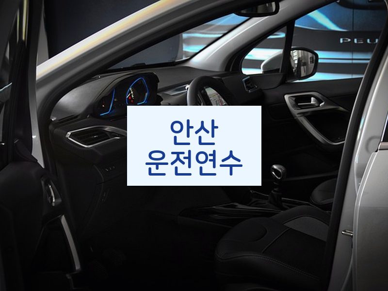 안산운전연수 후기