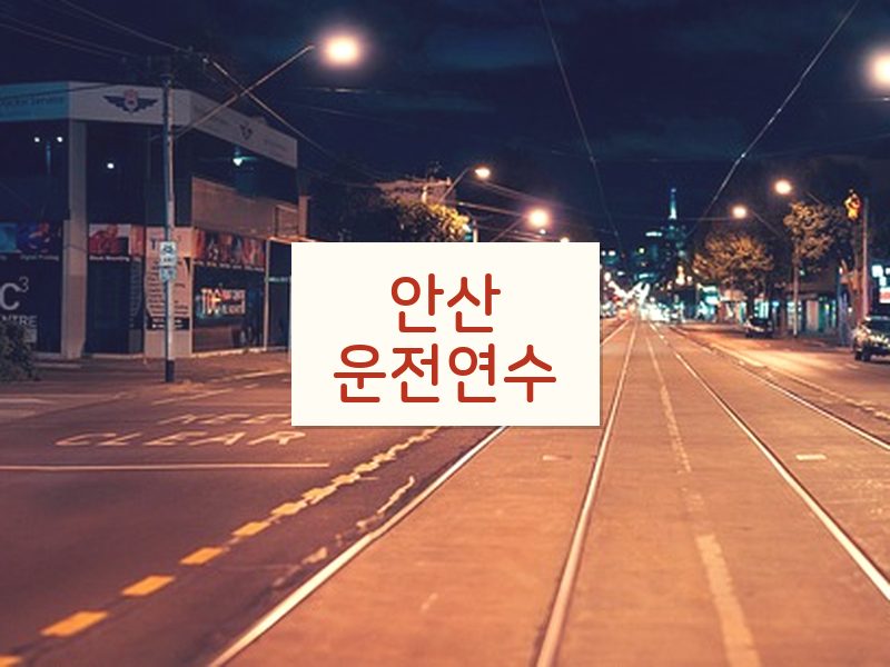안산운전연수 후기