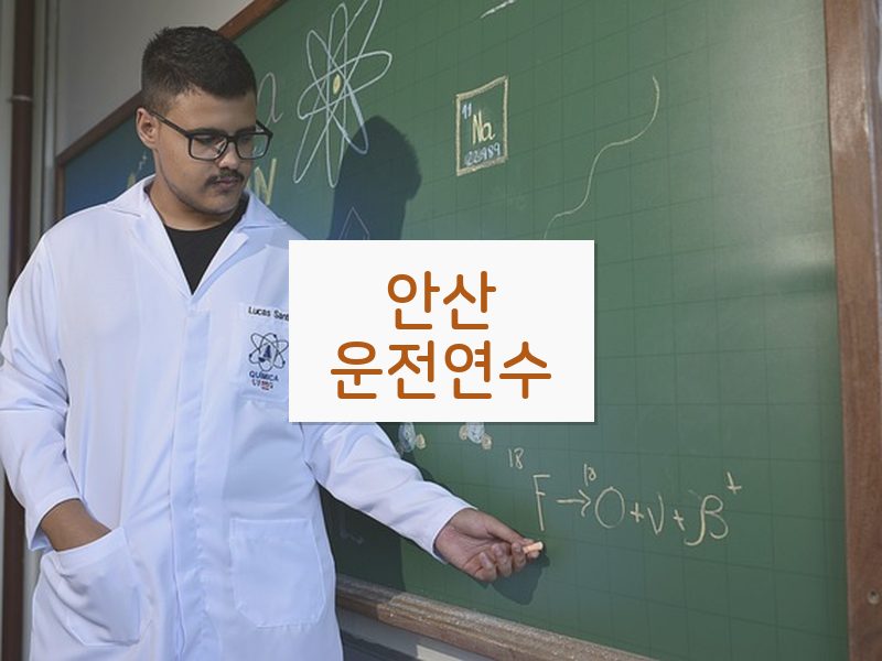 안산운전연수 후기