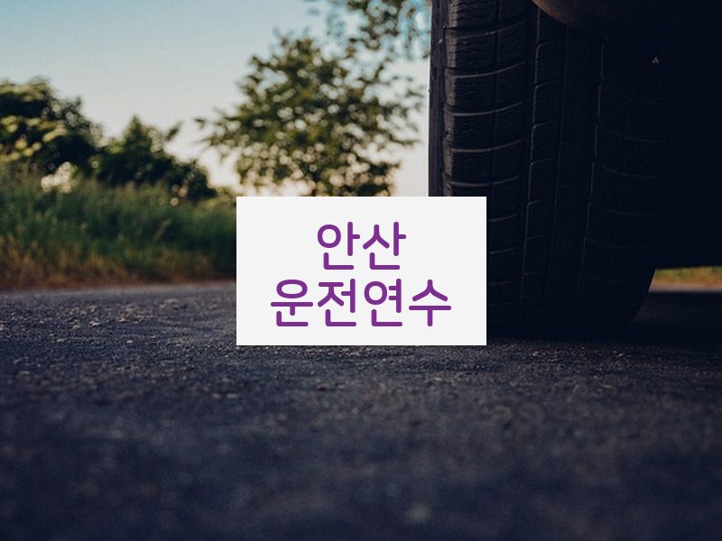 안산운전연수 후기