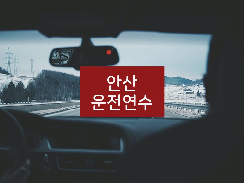 안산운전연수 후기