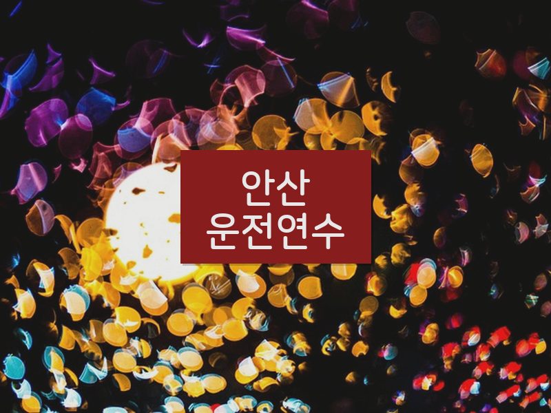 안산운전연수 후기
