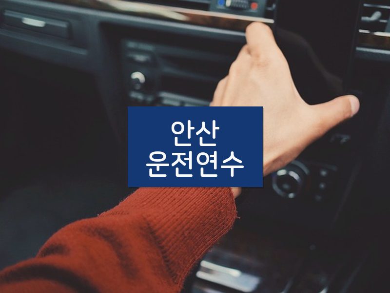 안산운전연수 후기