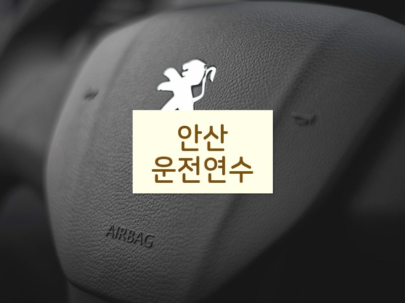 안산운전연수 후기