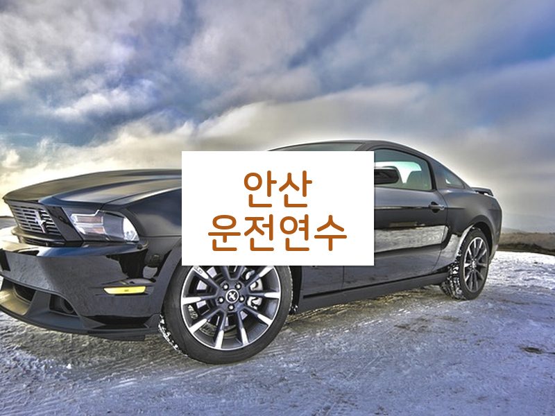 안산운전연수 후기